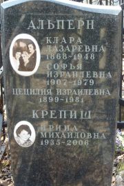 Альперн Клара Лазаревна, Москва, Востряковское кладбище